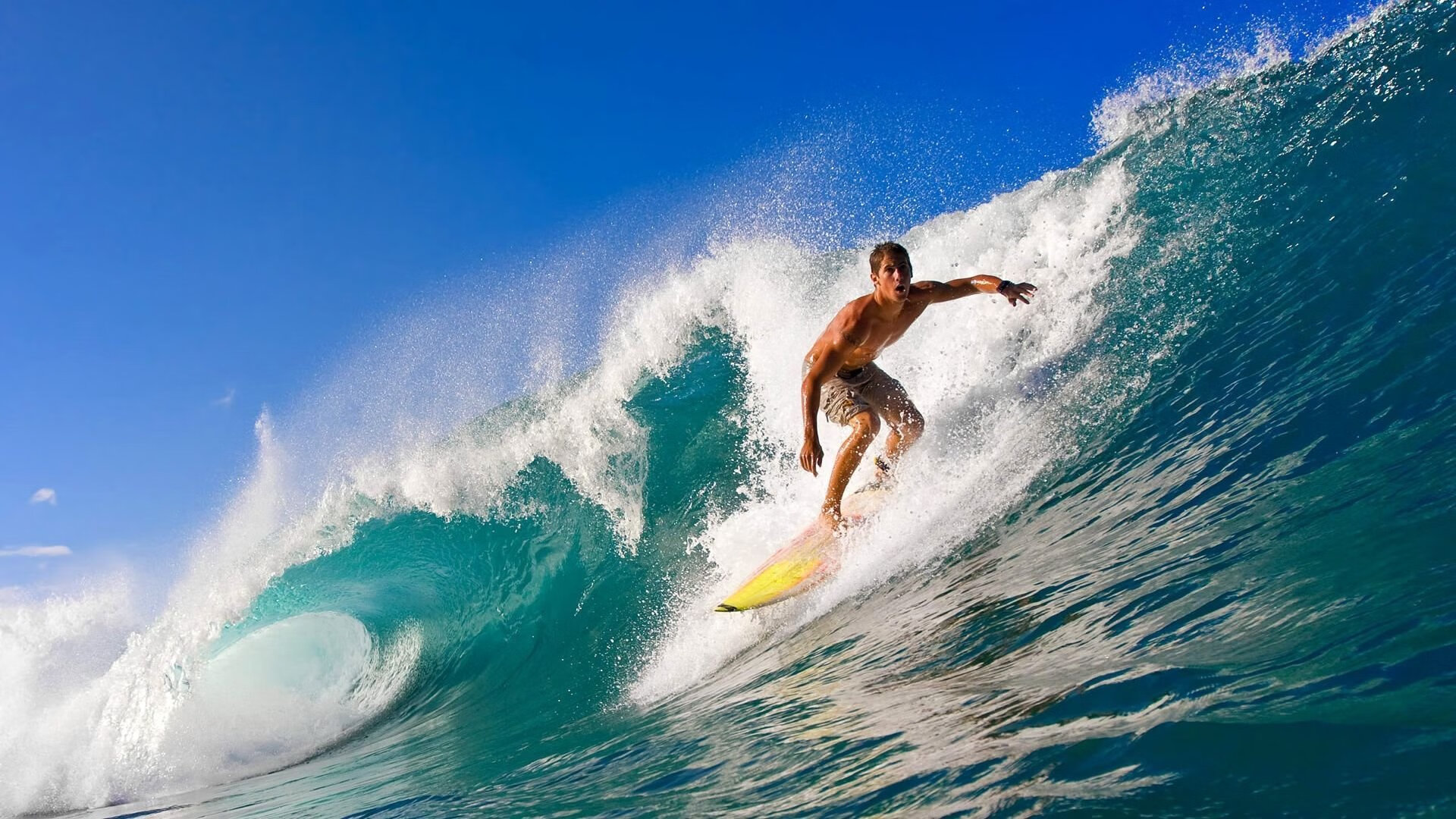 大牌签约内幕：这些明星到底为何选择加盟？，明星为什么要接代言